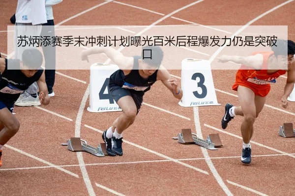 苏炳添赛季末冲刺计划曝光百米后程爆发力仍是突破口 - MKSPORTS MKSports